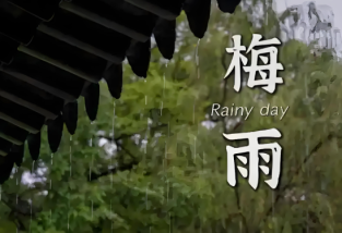2025年梅雨季節時間預測與居家防潮全攻略