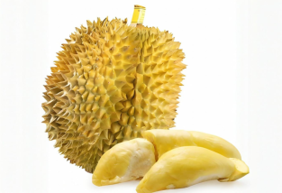 榴蓮挑選指南：怎么挑榴蓮，皮薄肉多的優質